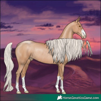 Horse Color:Silver Black Pearl Rabicano 