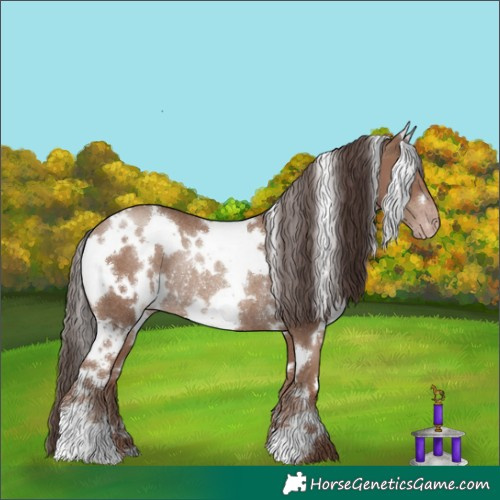 Horse Color:White Spotted Classic Champagne Rabicano
