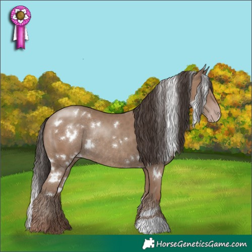 Horse Color:White Spotted Classic Champagne Rabicano 