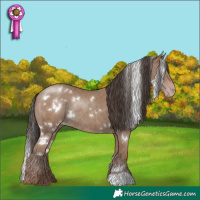 Horse Color:White Spotted Classic Champagne Rabicano 