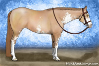 Horse Color:Brown Pearl Sabino 