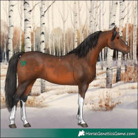Horse Color:Brown Tobiano 