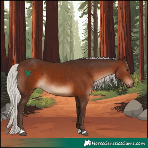 Horse Color:Silver Brown Rabicano 