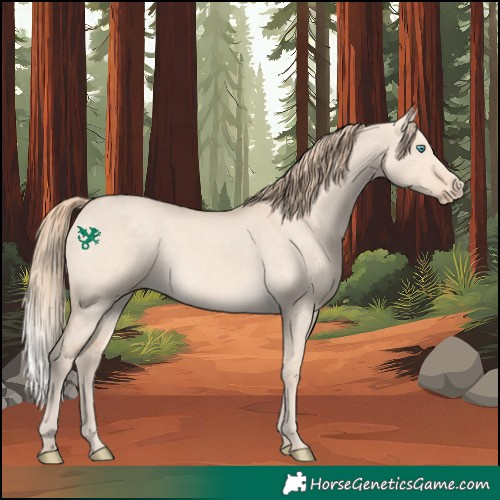 Horse Color:Perlino Dun Rabicano 