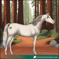 Horse Color:Perlino Dun Rabicano 