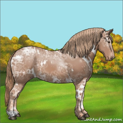 Horse Color:White Spotted Chestnut Ice 