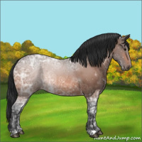 Horse Color:Bay Ice 