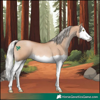 Horse Color:Silver Brown Pearl Dun Splash 