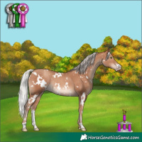 Horse Color:White Spotted Silver Sable Champagne Rabicano