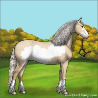 Horse Color:Silver Smoky Grullo Frame 