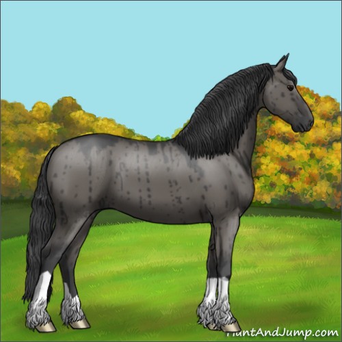 Horse Color:Grullo Brindle 