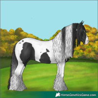 Horse Color:Black Tobiano 