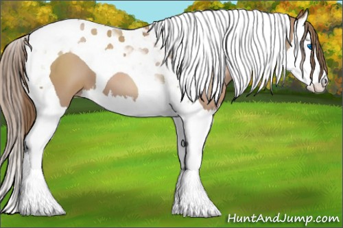 Horse Color:Black Pearl Splash Tobiano