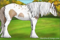 Horse Color:Black Pearl Splash Tobiano 