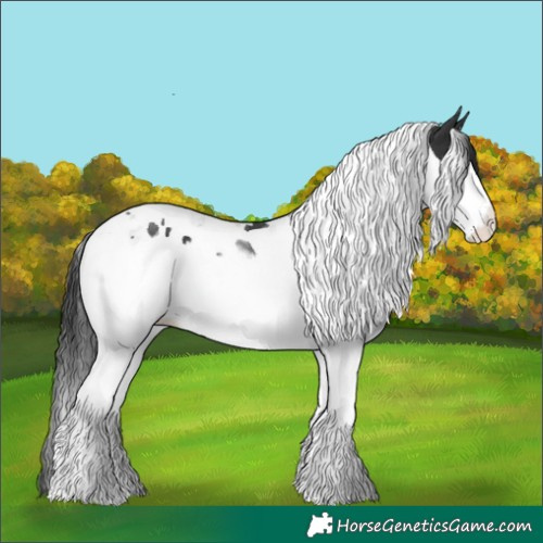 Horse Color:Black Splash Tobiano 