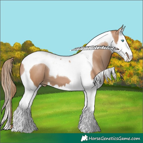 Horse Color:Black Pearl Splash Tobiano 