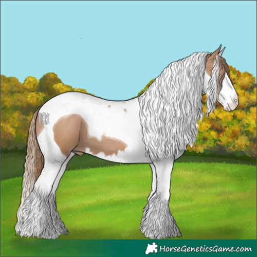 Horse Color:Black Pearl Splash Tobiano 