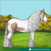 Horse Color:Black Pearl Splash Tobiano 