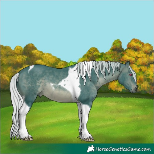 Horse Color:Watercolor Silver Brown Chinchilla Tobiano 