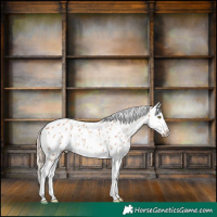 Horse Color:Gold Champagne Splash Appaloosa 