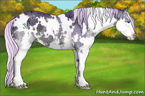 Horse Color:Watercolor White Spotted Silver Black Ice Sabino Splash