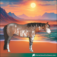 Horse Color:Brown Sabino Rabicano 