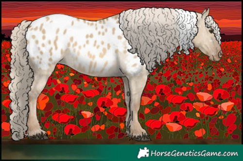Horse Color:White Spotted Chocolate Palomino Dun Blanket 