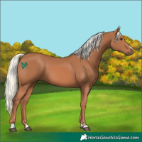 Horse Color:Chestnut Mushroom 