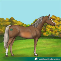 Horse Color:Chocolate Palomino Sabino