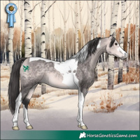 Horse Color:Platinum Buckskin Tobiano 