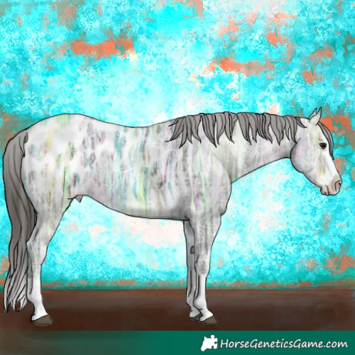 Horse Color:Buckskin Ice Splash Appaloosa 