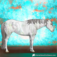 Horse Color:Brown Ice Tobiano Appaloosa 