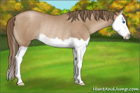 Horse Color:Black Pearl Splash Rabicano 