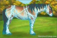 Horse Color:Thunderstruck Bay Onyx