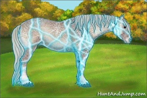 Horse Color:Thunderstruck Silver Blue Onyx Ice Rabicano 