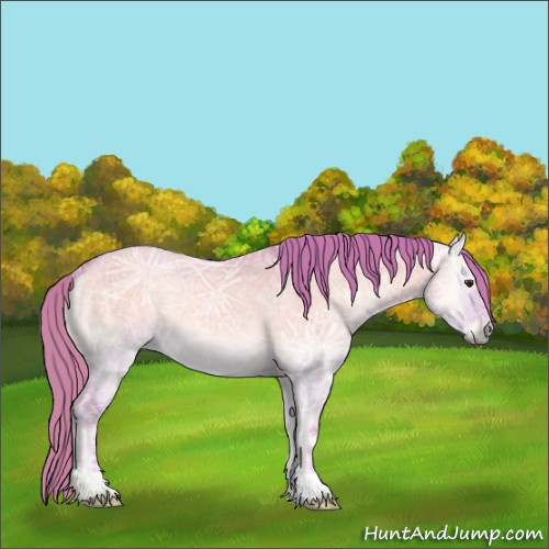 Horse Color:Watercolor Red Dun Ice Onyx 
