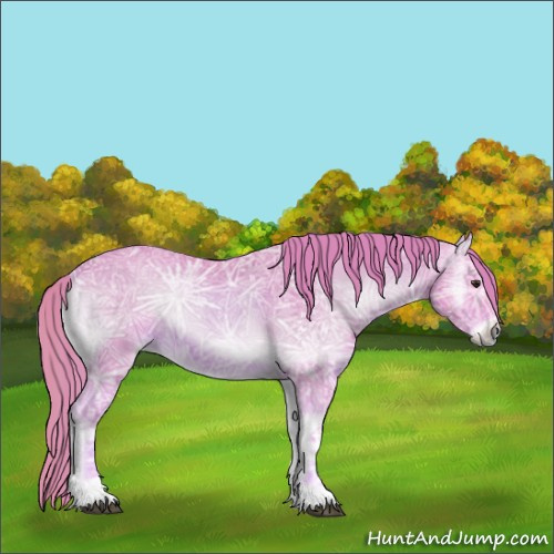Horse Color:Watercolor Red Onyx Ice 