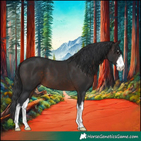 Horse Color:White Spotted Brown 