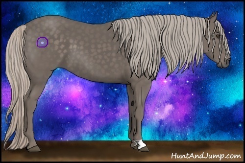 Horse Color:Silver Black 