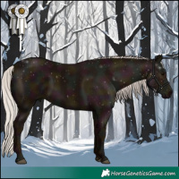 Horse Color:Midnight Silver Black 
