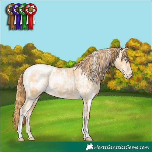 Horse Color:White Spotted Buckskin Pearl Dun Sabino  and White Spotted Buckskin Pearl 