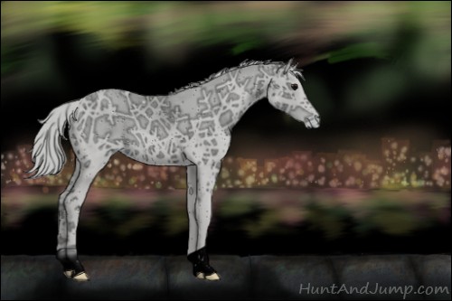 Horse Color:ERROR: UNKNOWN ANOMALY