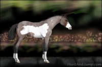 Horse Color:Brown Roan Frame 