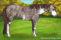 Horse Color:Chocolate Black Ice Sabino