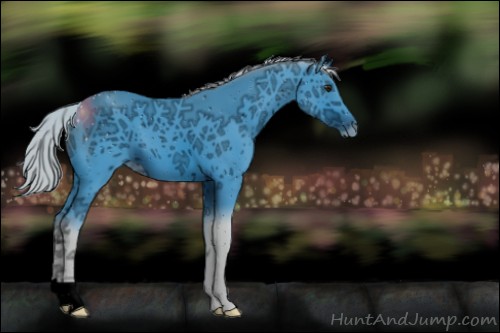 Horse Color:ERROR: UNKNOWN ANOMALY