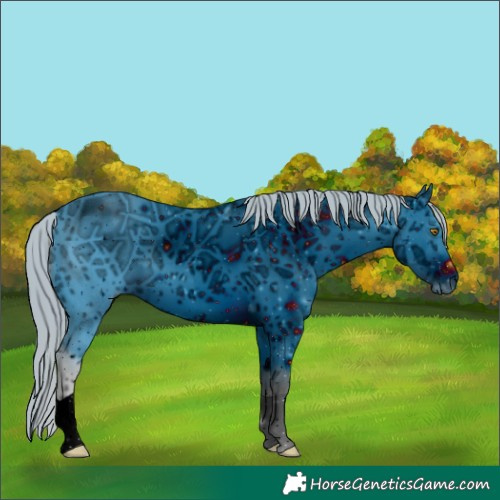 Horse Color:ERROR: UNKNOWN ANOMALY