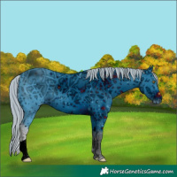 Horse Color:ERROR: UNKNOWN ANOMALY