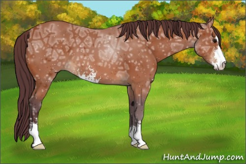 Horse Color:Chocolate Brown Ice Sabino 