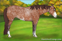 Horse Color:Chocolate Brown Ice Sabino 