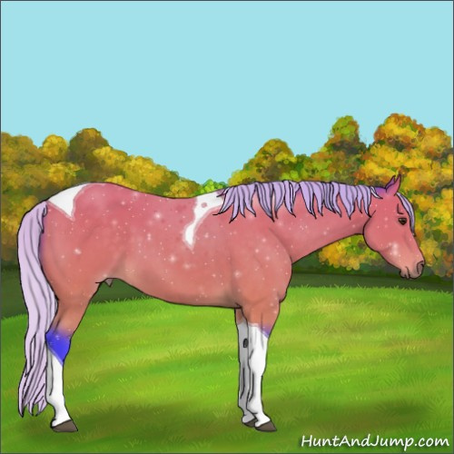 Horse Color:Watercolor Silver Buckskin Tobiano 
